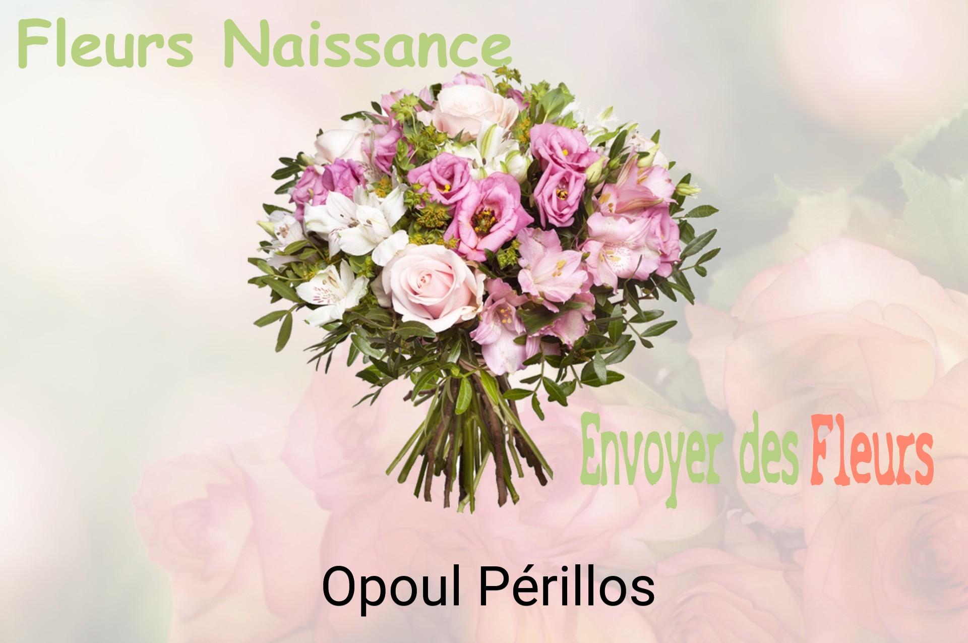 Bouquet de fleurs de naissance livré à Opoul-Périllos