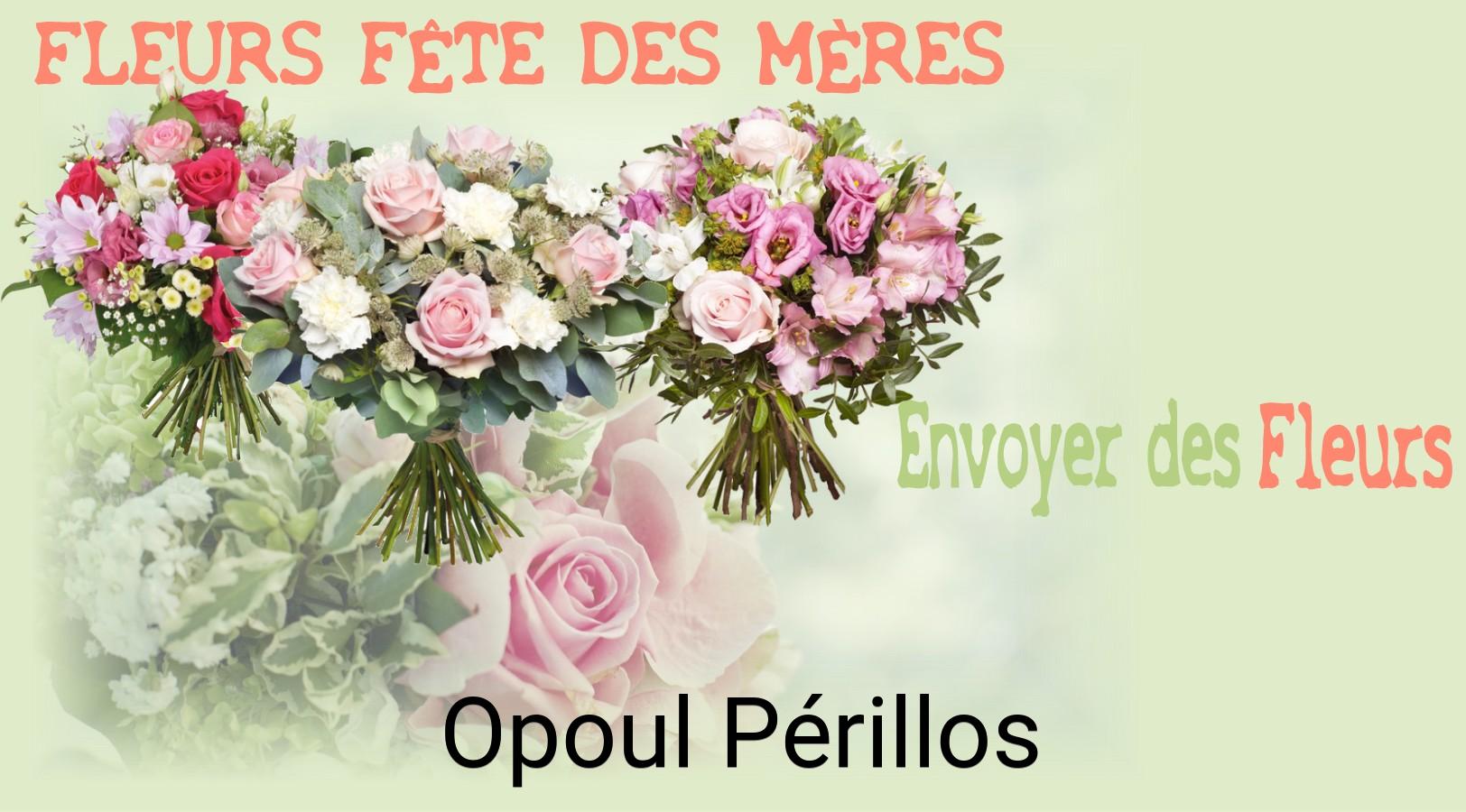 Bouquet de Fête des Mères livré à Opoul-Périllos